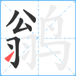 鹟笔顺分解图片7