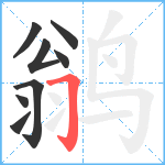 鹟笔顺分解图片8