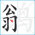 鹟笔顺分解图片9