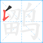 鹠笔顺分解图片2