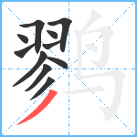 鹨笔顺分解图片11