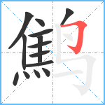 鹪笔顺分解图片14