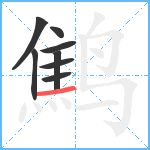鹪笔顺分解图片8