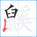 鼷笔顺分解图片7