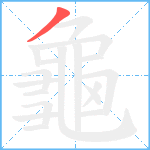 龜笔顺分解图片1