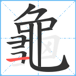 龜笔顺分解图片13