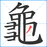 龜笔顺分解图片16