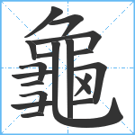 龜笔顺分解图片19