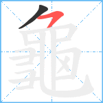 龜笔顺分解图片2