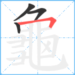 龜笔顺分解图片4