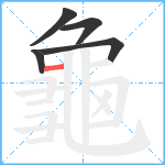 龜笔顺分解图片5