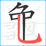 龜笔顺分解图片8