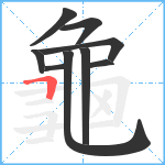 龜笔顺分解图片9