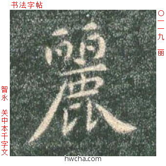 丽楷书怎么写好看 丽楷书写法 真书千字文 智永·隋