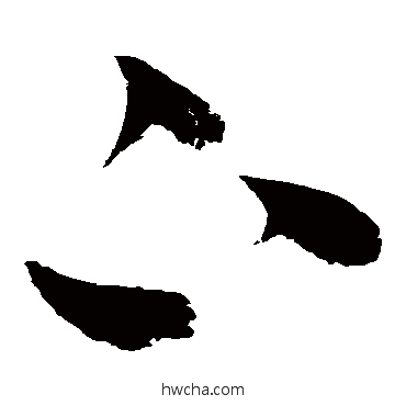 下草书怎么写好看 下草书写法 赵佶