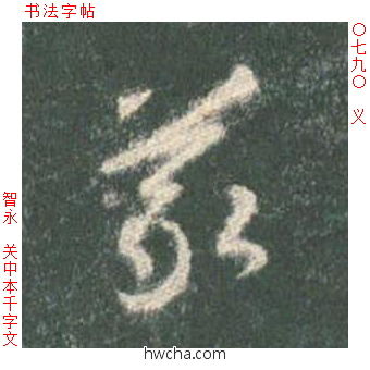 义草书怎么写好看 义草书写法 草书千字文 智永·隋