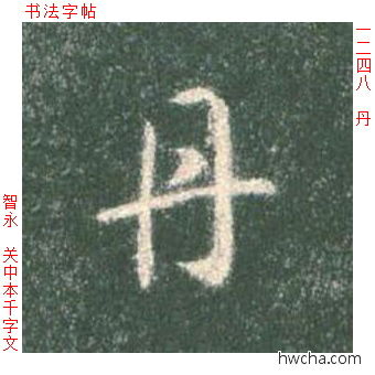 丹草书怎么写好看 丹草书写法 草书千字文 智永·隋