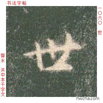 世草书怎么写好看 世草书写法 草书千字文 智永·隋