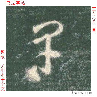 早草书怎么写好看 早草书写法 草书千字文 智永·隋