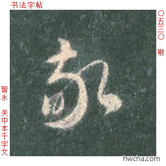 敬草书怎么写好看 敬草书写法 草书千字文 智永·隋