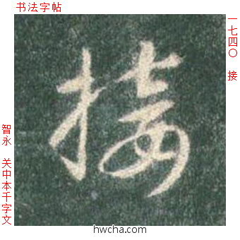 接草书怎么写好看 接草书写法 草书千字文 智永·隋