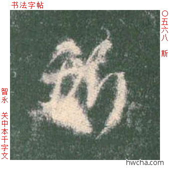 斯草书怎么写好看 斯草书写法 草书千字文 智永·隋