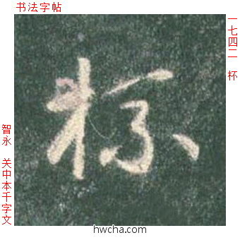 杯草书怎么写好看 杯草书写法 草书千字文 智永·隋