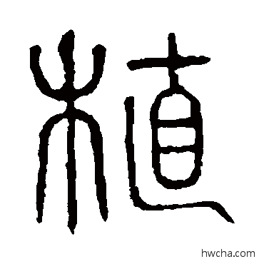 植篆书怎么写好看 植篆书写法 说文解字