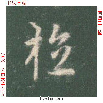 植草书怎么写好看 植草书写法 草书千字文 智永·隋