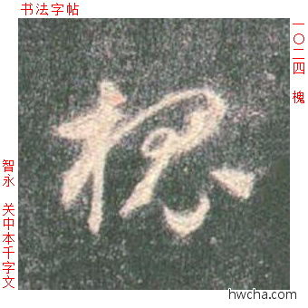 槐草书怎么写好看 槐草书写法 草书千字文 智永·隋