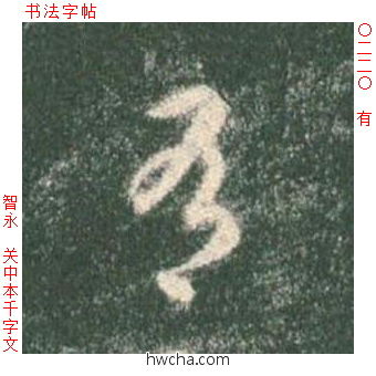 有草书怎么写好看 有草书写法 草书千字文 智永·隋