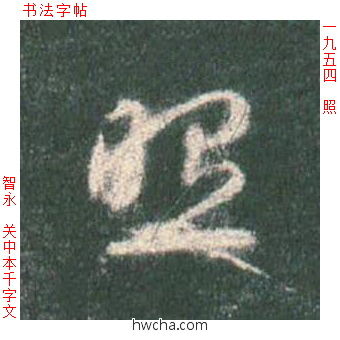 照草书怎么写好看 照草书写法 草书千字文 智永·隋