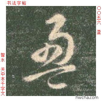 盈草书怎么写好看 盈草书写法 草书千字文 智永·隋