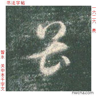 畏草书怎么写好看 畏草书写法 草书千字文 智永·隋