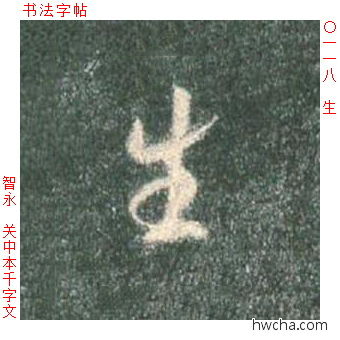 生草书怎么写好看 生草书写法 草书千字文 智永·隋