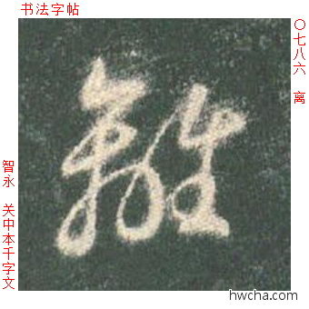 离草书怎么写好看 离草书写法 草书千字文 智永·隋