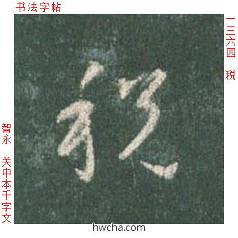 税草书怎么写好看 税草书写法 草书千字文 智永·隋