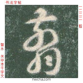 翦草书怎么写好看 翦草书写法 草书千字文 智永·隋