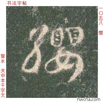 缨草书怎么写好看 缨草书写法 草书千字文 智永·隋