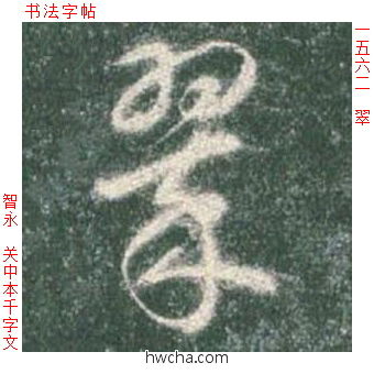 翠草书怎么写好看 翠草书写法 草书千字文 智永·隋