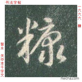 糠草书怎么写好看 糠草书写法 草书千字文 智永·隋