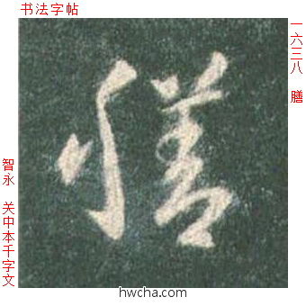 膳草书怎么写好看 膳草书写法 草书千字文 智永·隋