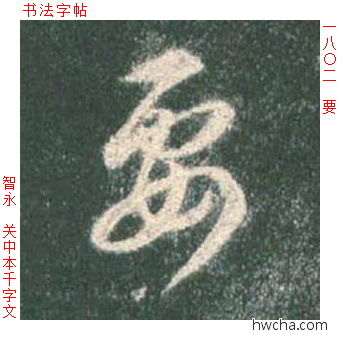 要草书怎么写好看 要草书写法 草书千字文 智永·隋