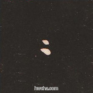 许楷书怎么写好看 许楷书写法 宣示表 钟繇·三国