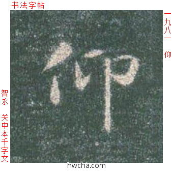 仰楷书怎么写好看 仰楷书写法 真书千字文 智永·隋