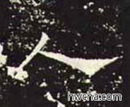 人隶书怎么写好看 人隶书写法 礼器碑 佚名·东汉