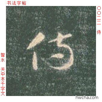 侍草书怎么写好看 侍草书写法 草书千字文 智永·隋