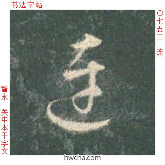 连草书怎么写好看 连草书写法 草书千字文 智永·隋