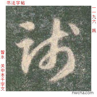 践草书怎么写好看 践草书写法 草书千字文 智永·隋