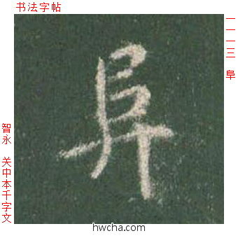 阜楷书怎么写好看 阜楷书写法 真书千字文 智永·隋